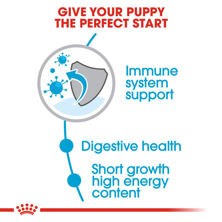 Royal Canin Medium Puppy 10 Kg _thumbnail_2