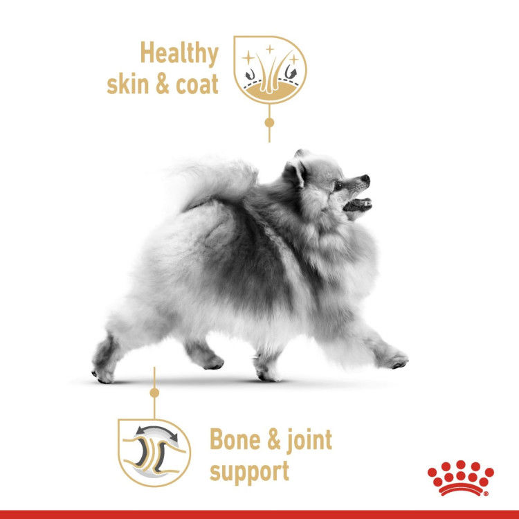 Royal Canin Pomeranian (Wet Food - Pouches) 12 x 85 g_thumbnail_1