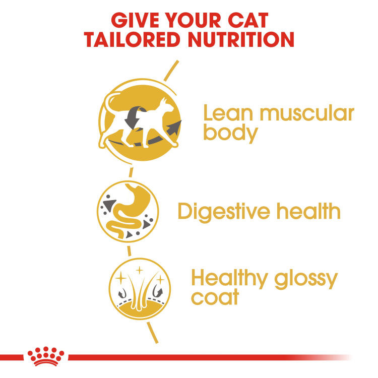 Royal Canin Siamese Adult 2 kg_thumbnail_3