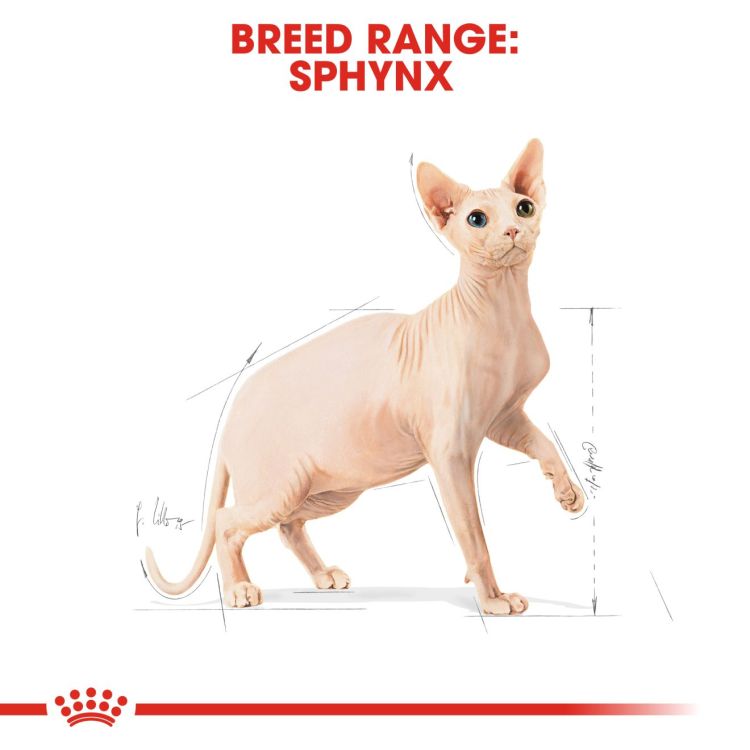 Royal Canin Sphynx 2 kg_thumbnail_2