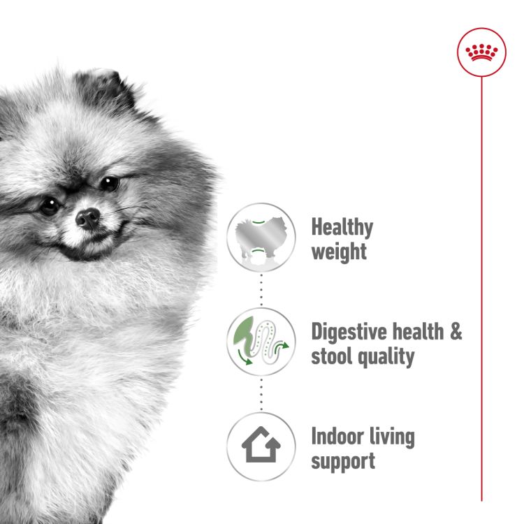 Royal Canin Mini Indoor Adult 1.5 kg_thumbnail_1