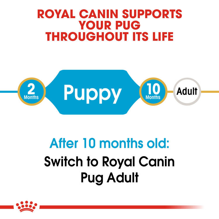 Royal Canin Pug Puppy 1.5 kg_thumbnail_4
