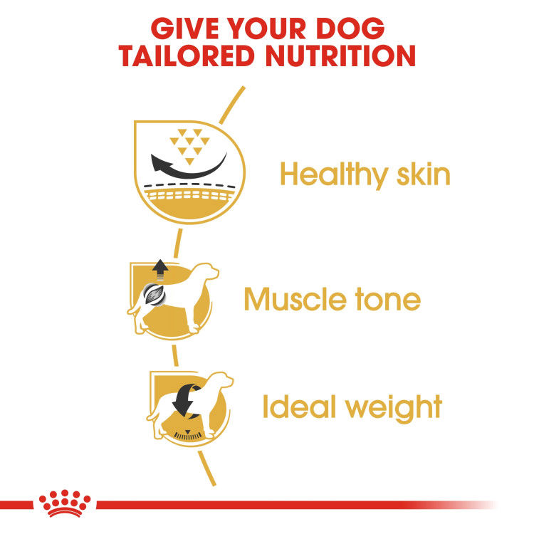 Royal Canin Pug Adult 1.5 kg_thumbnail_3