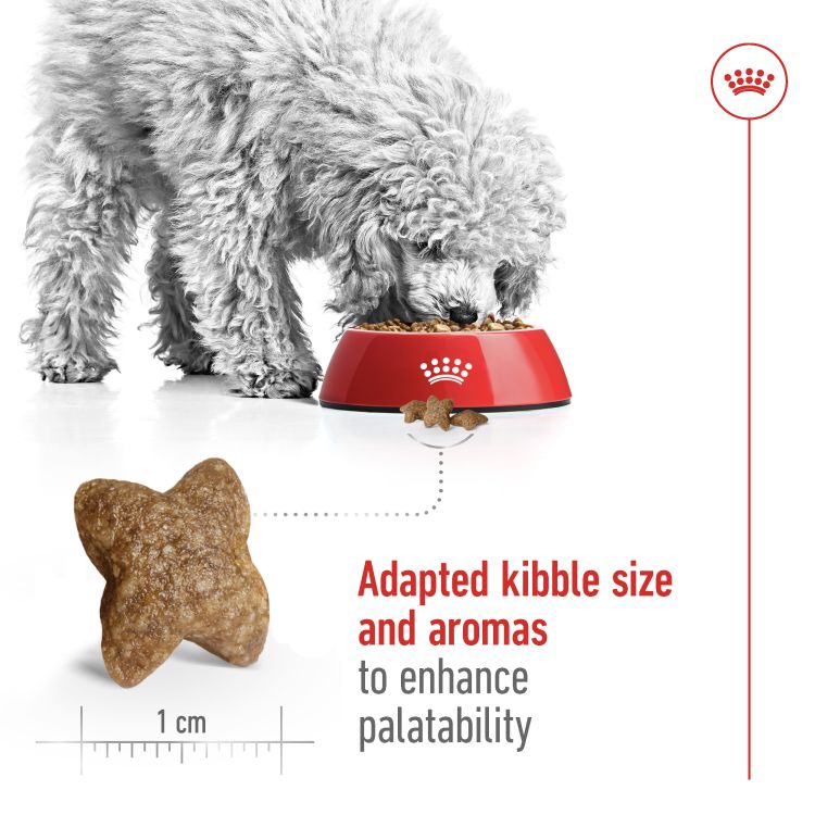 Royal Canin Mini Adult 4 Kg _thumbnail_5