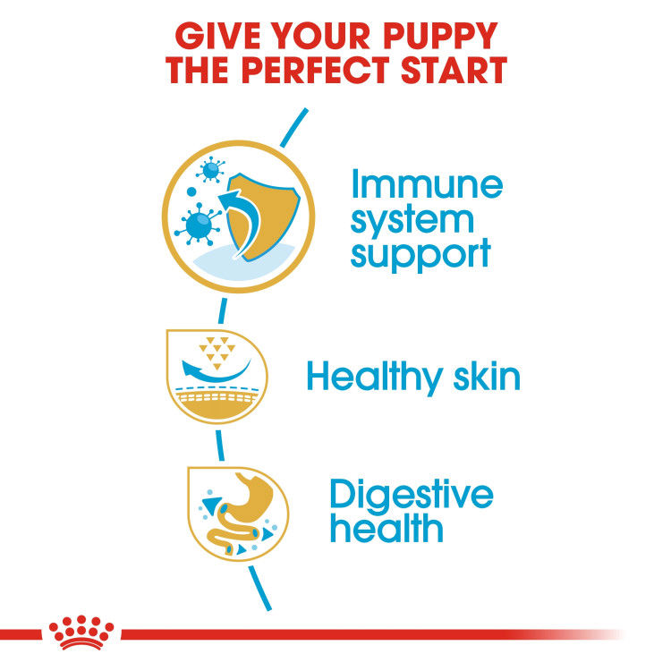 Royal Canin Pug Puppy 1.5 kg_thumbnail_1