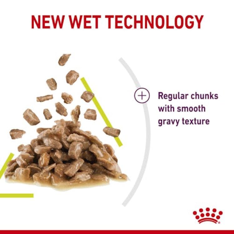 Royal Canin Sensory Smell Gravy (Wet Food - Pouches) 12 x 85 g_thumbnail_3