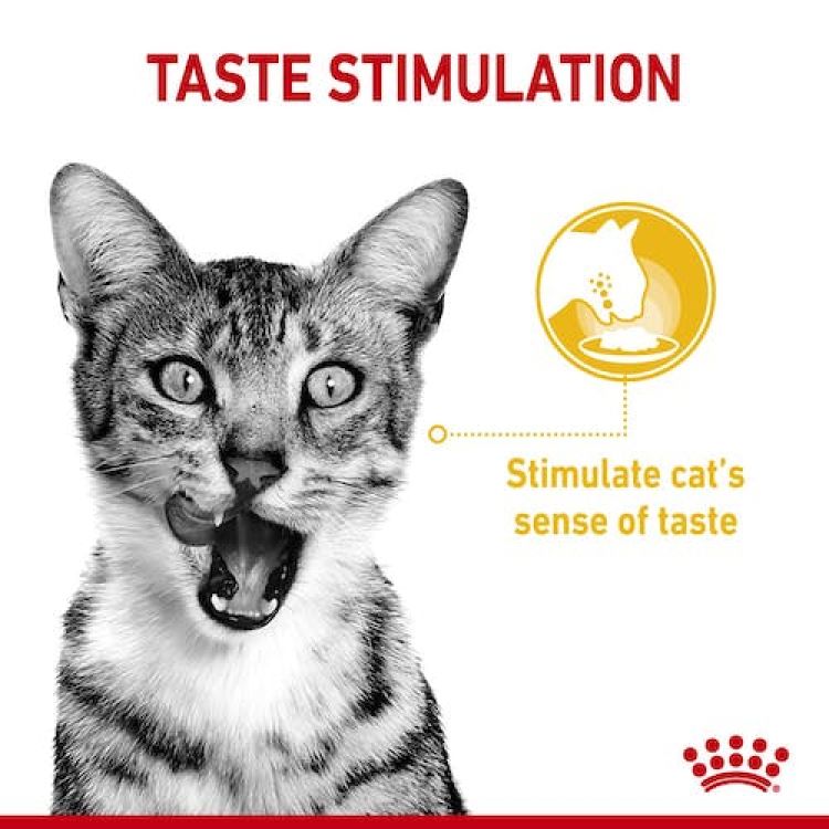 Royal Canin Sensory Taste Gravy (Wet Food - Pouches) 12 x 85 g_thumbnail_3