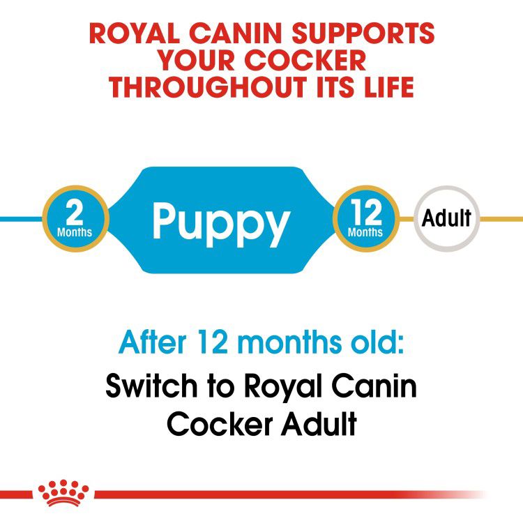 Royal Canin Cocker Puppy 3 kg_thumbnail_2