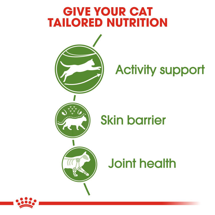 Royal Canin Outdoor 2 kg_thumbnail_5