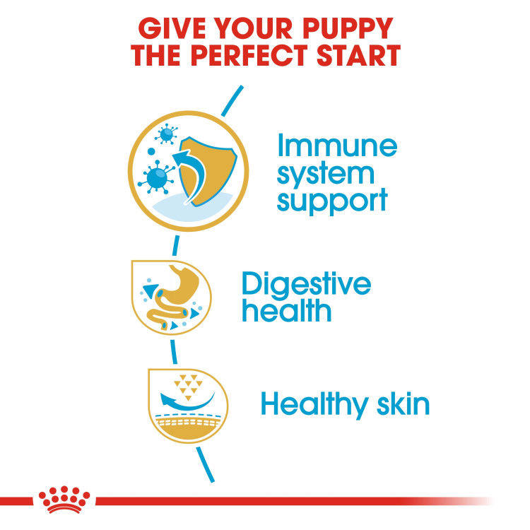 Royal Canin French Bulldog Puppy 3 kg_thumbnail_3