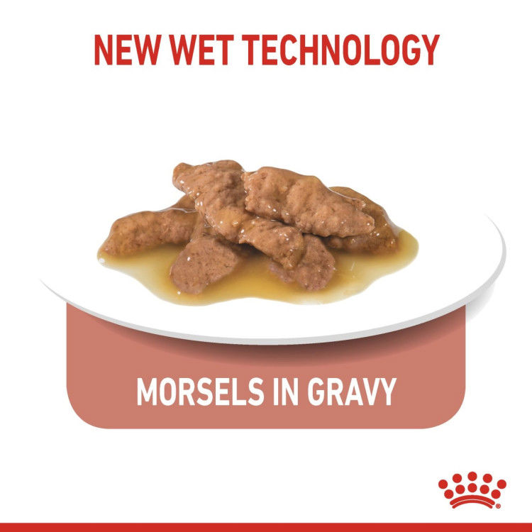 Royal Canin Indoor (Wet Food - Pouches) 12 x 85 g_thumbnail_4