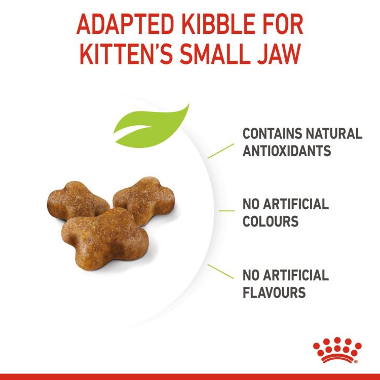Royal Canin Kitten 4 KG _thumbnail_2