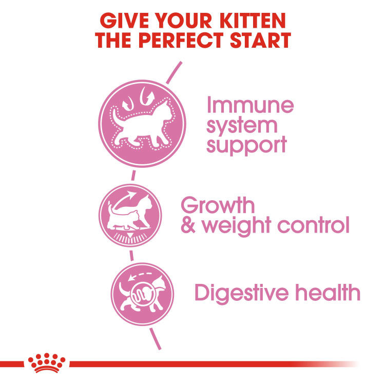Royal Canin Kitten Sterilised 2 kg_thumbnail_3