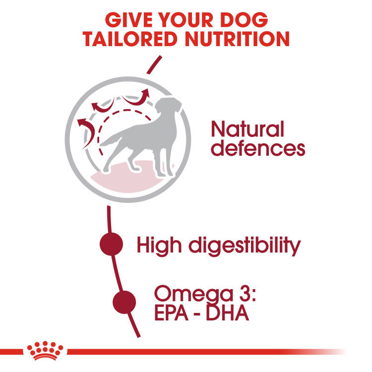 Royal Canin Medium Adult 15 Kg _thumbnail_2