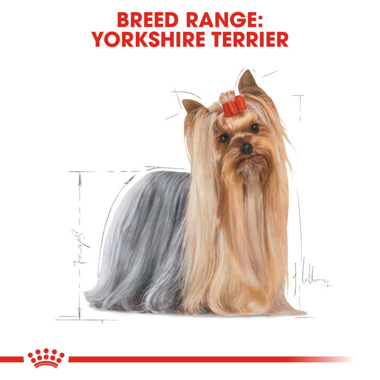 Royal Canin Yorkshire Adult 1.5 kg_thumbnail_1