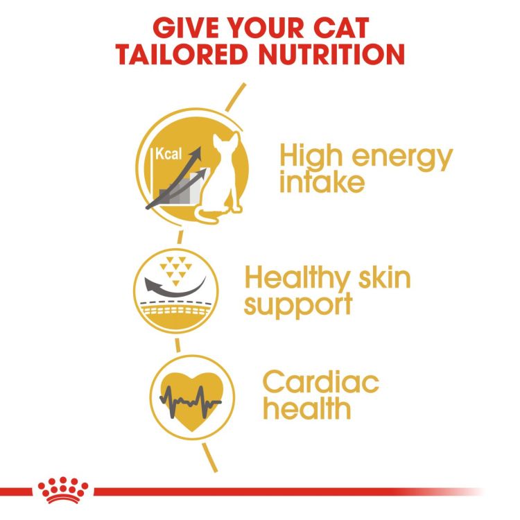 Royal Canin Sphynx 2 kg_thumbnail_3