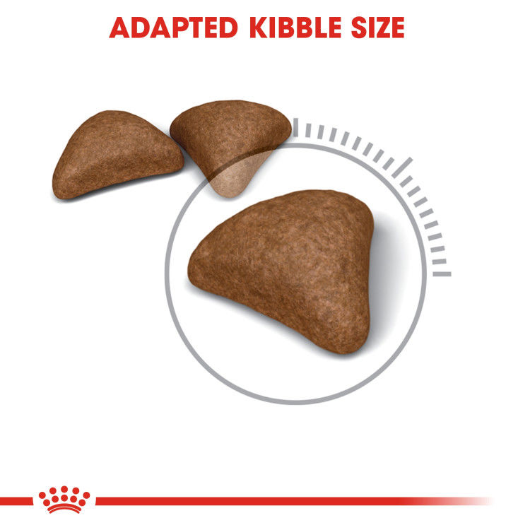 Royal Canin Hairball Care 4 kg_thumbnail_1