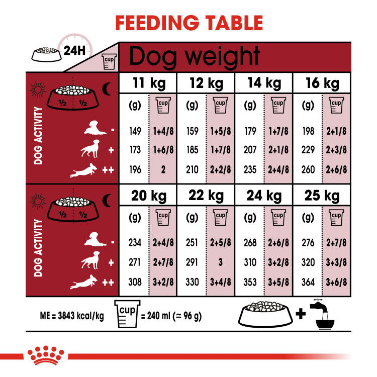 Royal Canin Medium Adult 4 Kg _thumbnail_4
