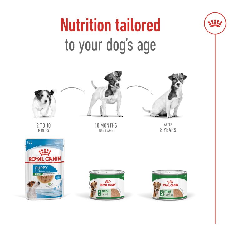 Royal canin Mini Adult (Wet Food - Can) 12 x 195 g_thumbnail_3