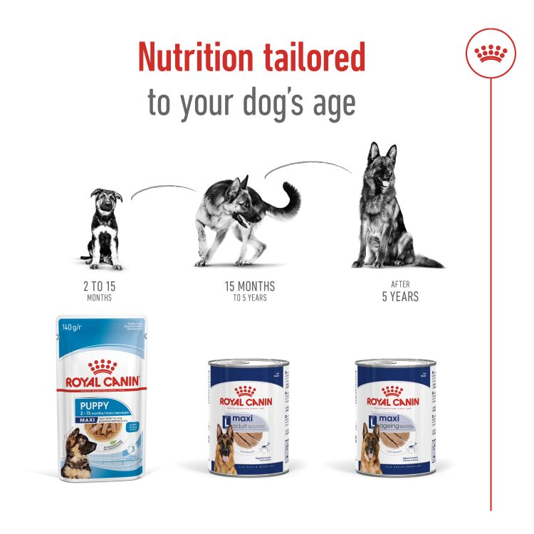 Royal Canin Maxi Adult (Wet Food - Can) 12 x 410 g_thumbnail_3