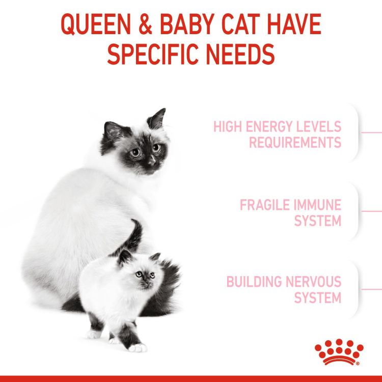 Royal Canin Mother & Babycat 4 kg_thumbnail_2