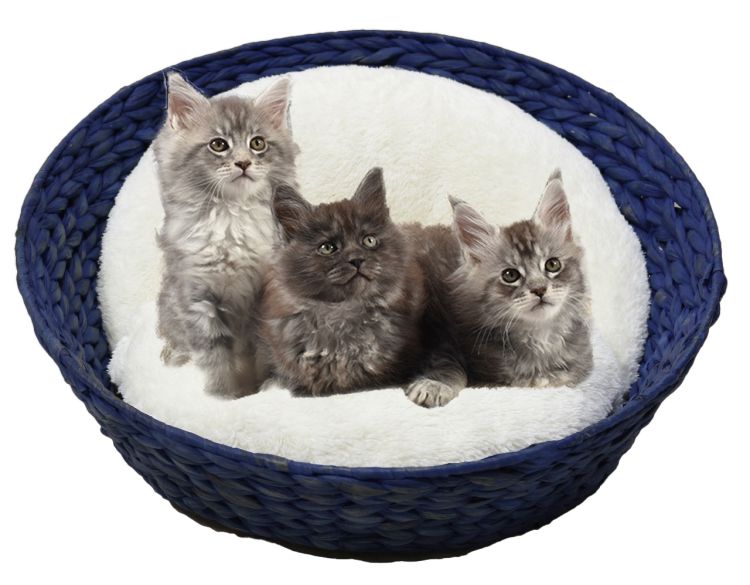 Green Basket – Blue (90cm)_thumbnail_2