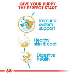 Royal canin Golden Retriever Puppy 12 kg_thumbnail_3