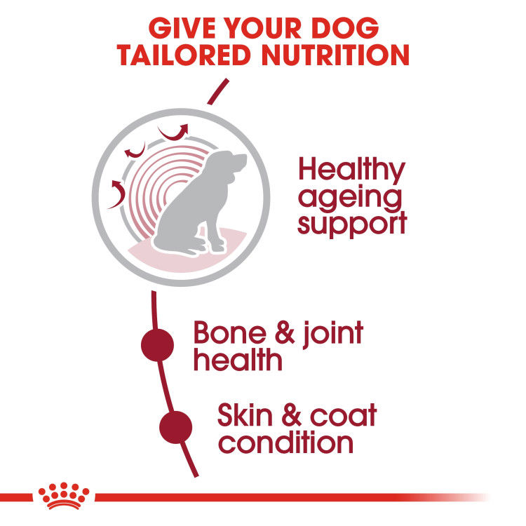 Royal Canin Medium Ageing 10+ 3 kg_thumbnail_4