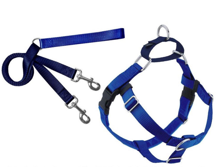 Freedom No-Pull Harness and Leash - Royal Blue / Medium 1_thumbnail_3