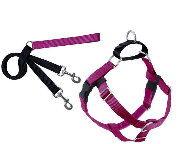 Freedom No-Pull Harness and Leash - Raspberry / Small 5/8_thumbnail_0