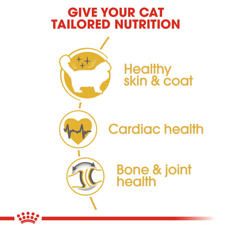 Royal Canin Ragdoll Adult 2 kg_thumbnail_4