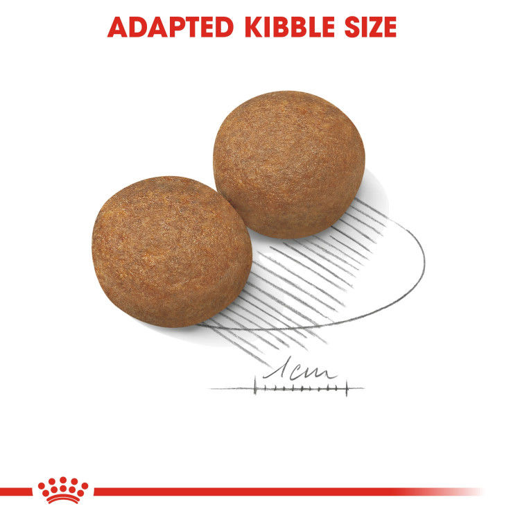 Royal Canin Maxi Adult 4 kg_thumbnail_3