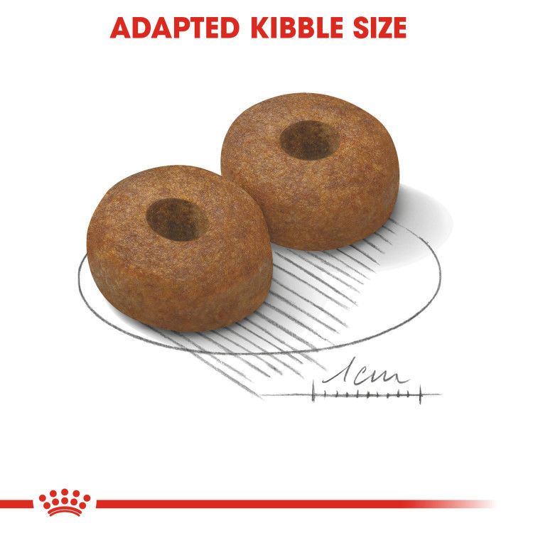 Royal Canin Maxi Ageing 8+ 15 kg_thumbnail_3