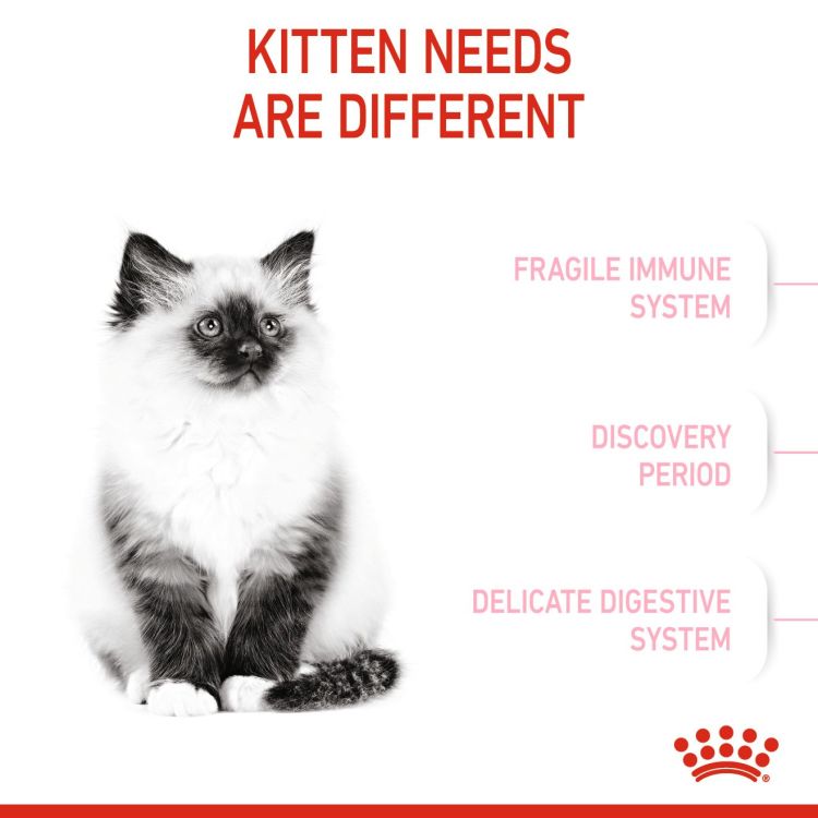 Royal Canin Kitten 2kg _thumbnail_3