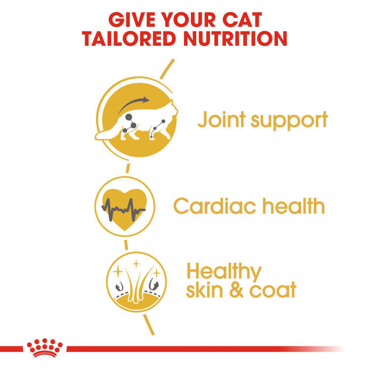 Royal Canin Maine Coon Adult 2 kg_thumbnail_4