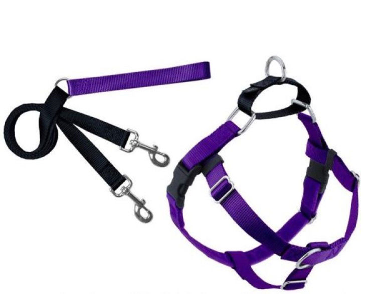 Freedom No-Pull Harness and Leash - Purple / Medium 1"_thumbnail_0