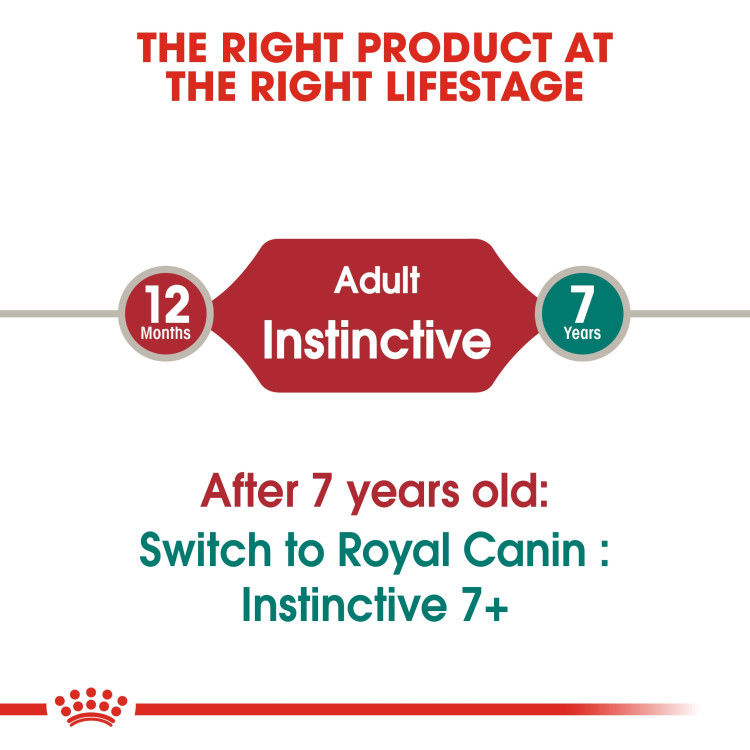 Royal Canin Instinctive Adult Cats Jelly (Wet Food - Pouches) 12 x 85 g_thumbnail_3