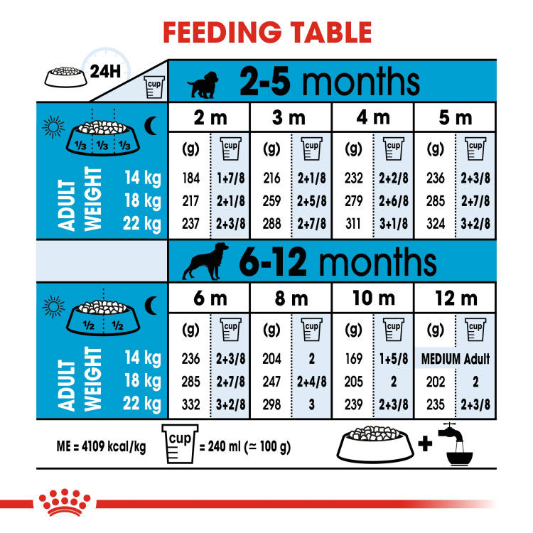Royal Canin Medium Adult 4 kg_thumbnail_5