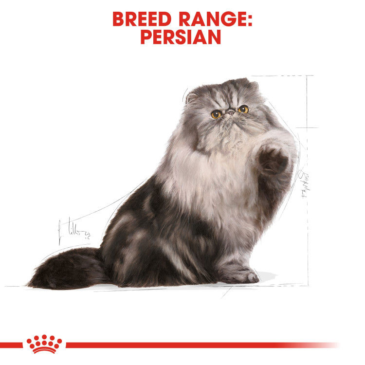 Royal Canin Persian Adult 2 kg_thumbnail_2