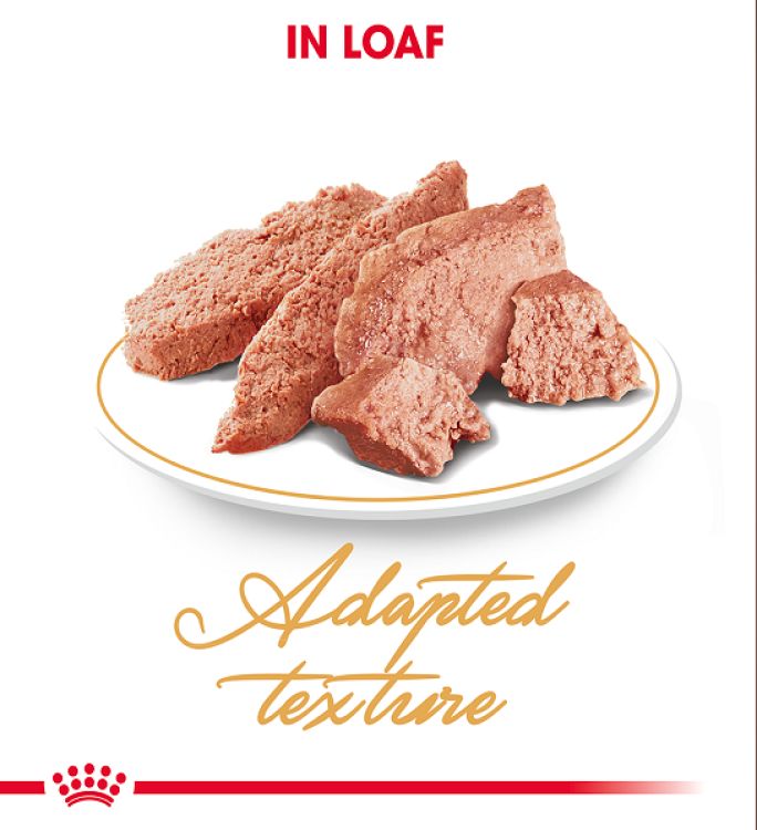 Royal Canin Persian (Wet Food - Pouches) 12 x 85 g_thumbnail_3