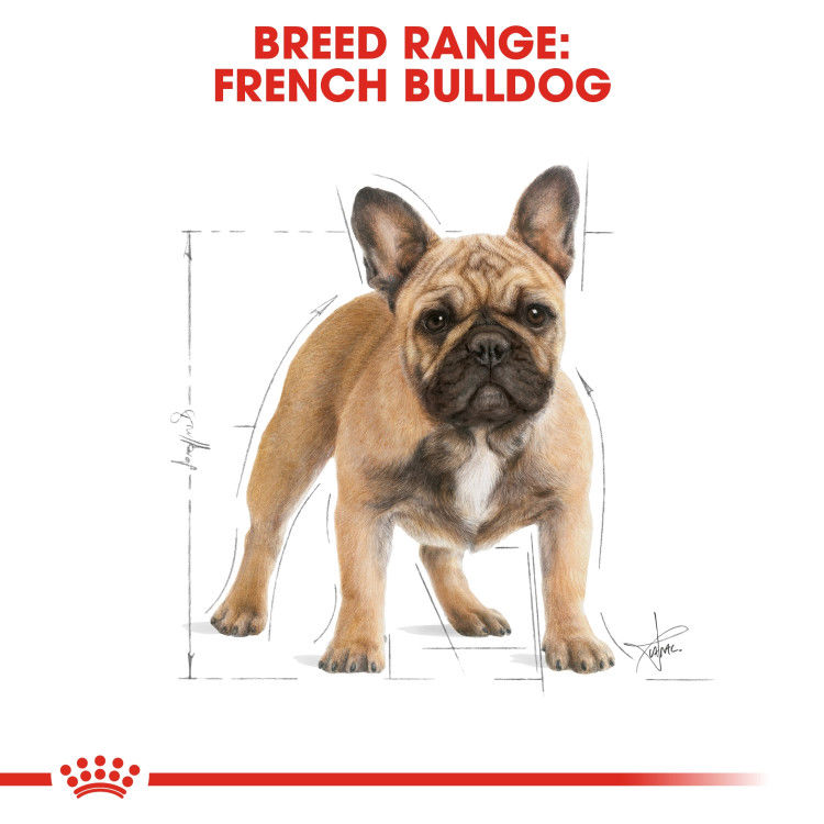 Royal Canin French Bulldog Adult 3 kg_thumbnail_2