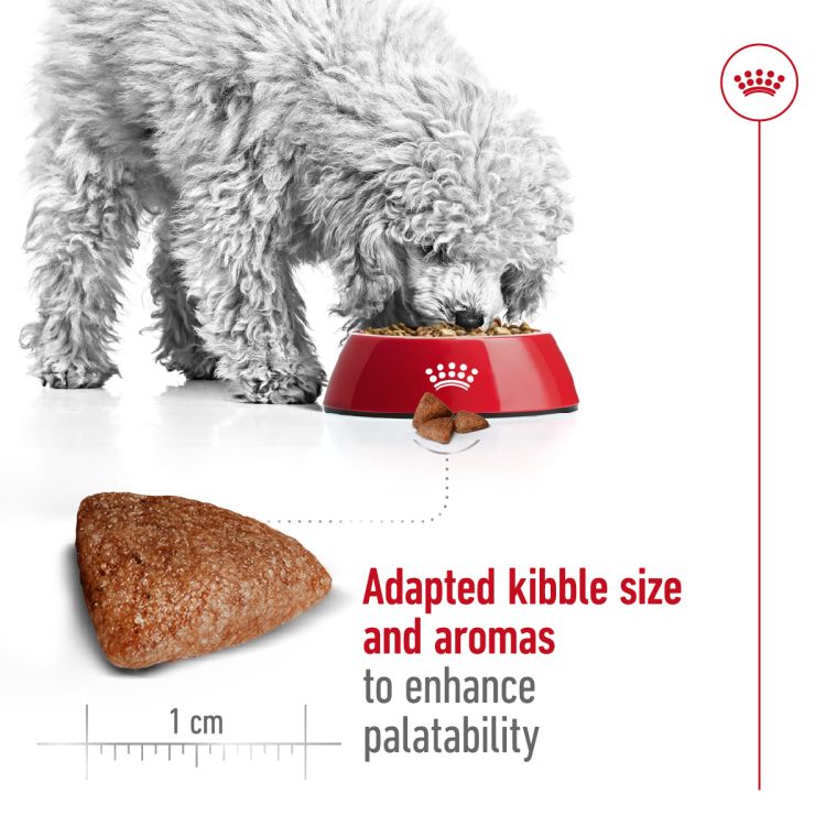 Royal Canin Mini Indoor Adult 1.5 kg_thumbnail_3