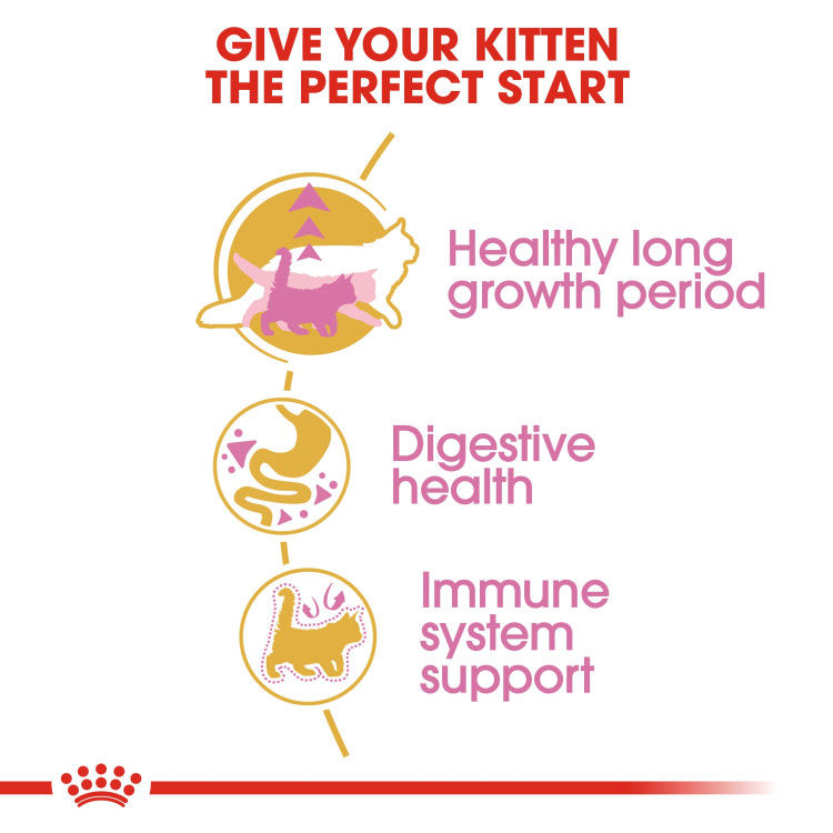 Royal Canin Maine Coon Kitten 2 kg_thumbnail_5
