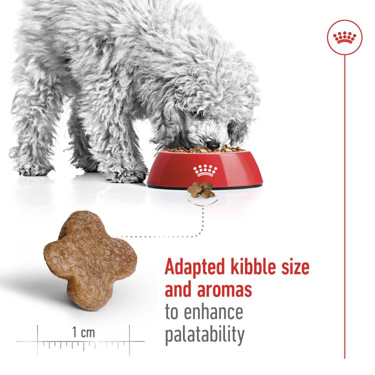 Royal Canin  Mini Adult 8+ 2 kg_thumbnail_1