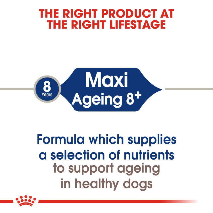 Royal Canin Maxi Ageing 8+ 15 kg_thumbnail_4