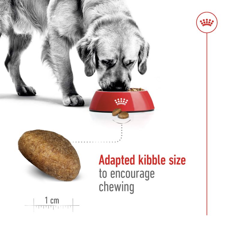 Royal Canin Maxi Adult 15 kg_thumbnail_5