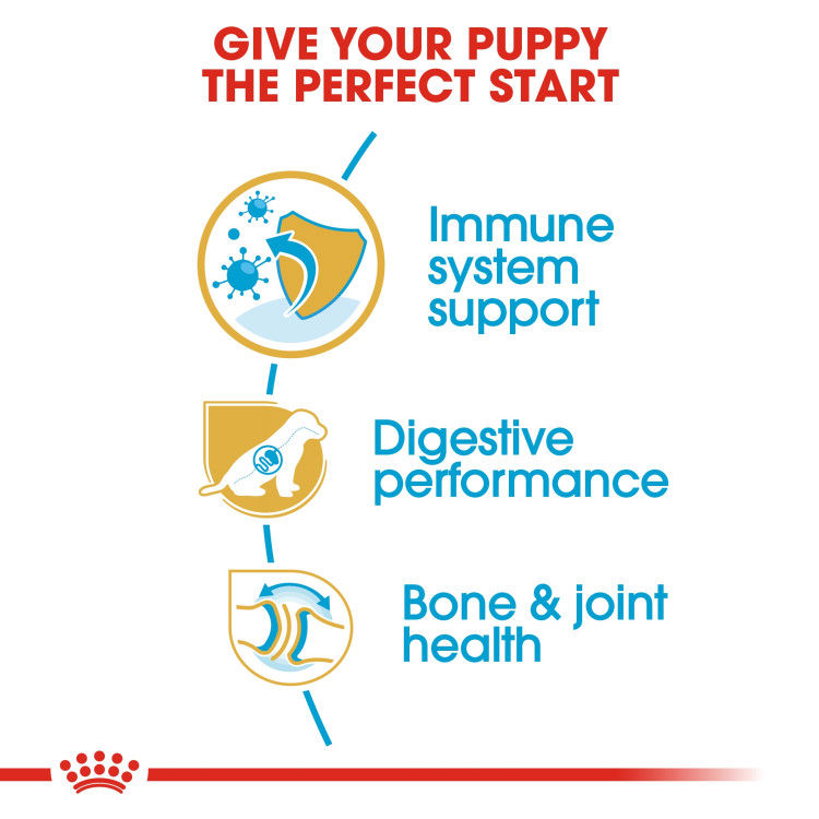 Royal Canin German Shepherd Puppy 3 kg_thumbnail_3