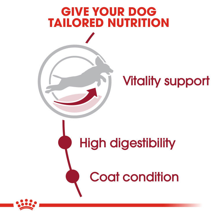 Royal Canin Medium Adult 7+ 4 KG_thumbnail_4