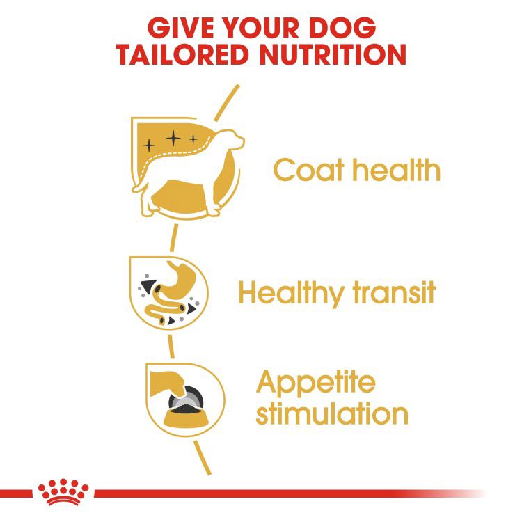 Royal canin Chihuahua Adult (Wet Food - Pouches) 12 x 85 g_thumbnail_3