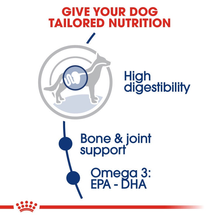 Royal Canin Maxi Adult 4 kg_thumbnail_4